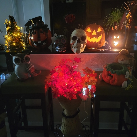 Skull - Picture 1 of 8